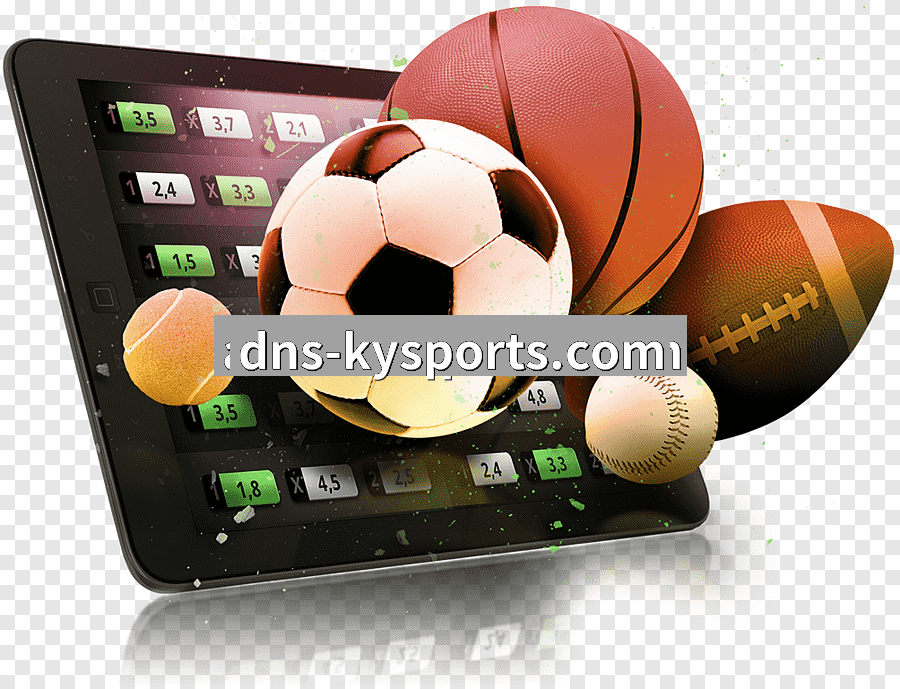 开云体育体育APP获取